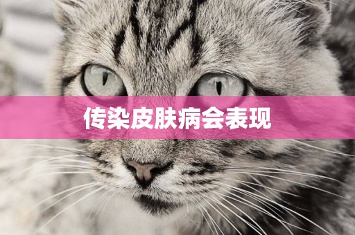 傳染皮膚病會表現