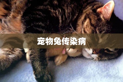 寵物兔傳染病