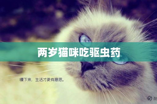 兩歲貓咪吃驅蟲藥