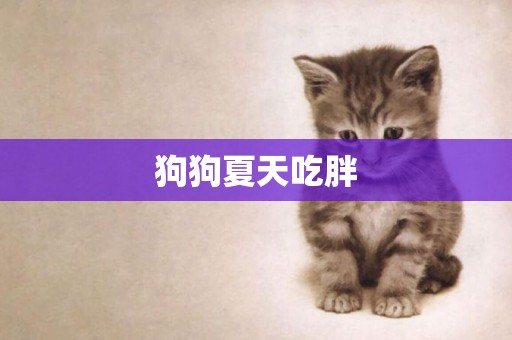 狗狗夏天吃胖