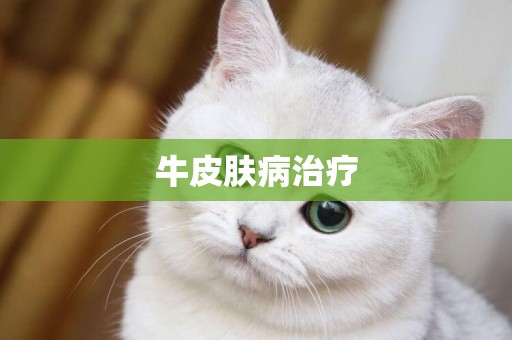 牛皮膚病治療