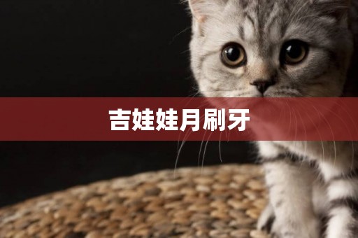吉娃娃月刷牙