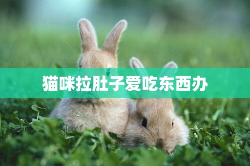 貓咪拉肚子愛吃東西辦