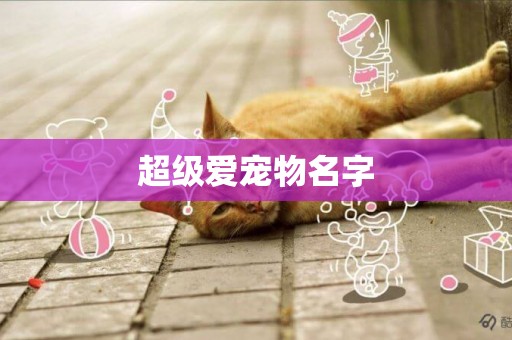 超級愛寵物名字