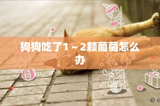 狗狗吃了1～2顆葡萄怎么辦