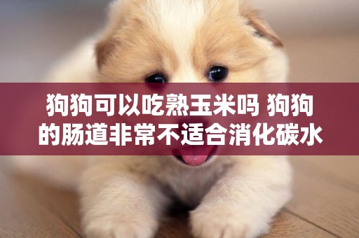 狗狗可以吃熟玉米嗎 狗狗的腸道非常不適合消化碳水哦！