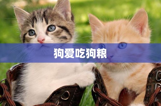 狗愛吃狗糧