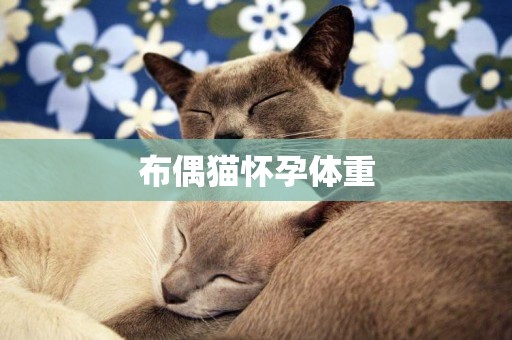 布偶貓懷孕體重