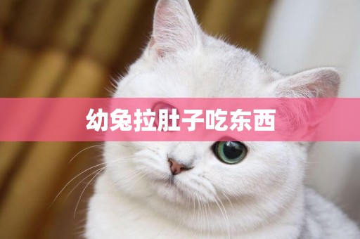 幼兔拉肚子吃東西