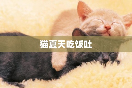 貓夏天吃飯吐