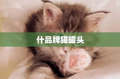 什品牌貓罐頭