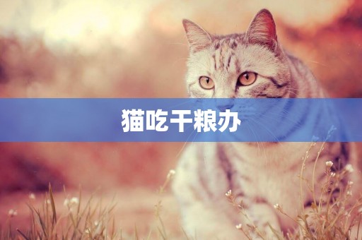 貓吃干糧辦