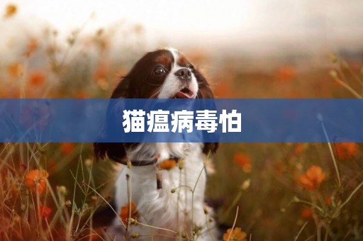 貓瘟病毒怕