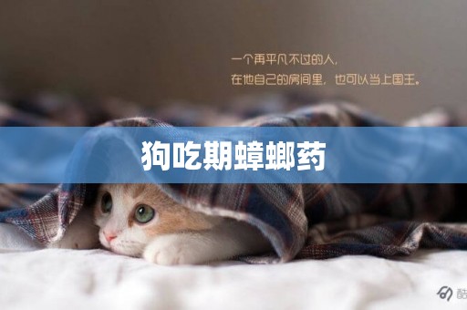 狗吃期蟑螂藥