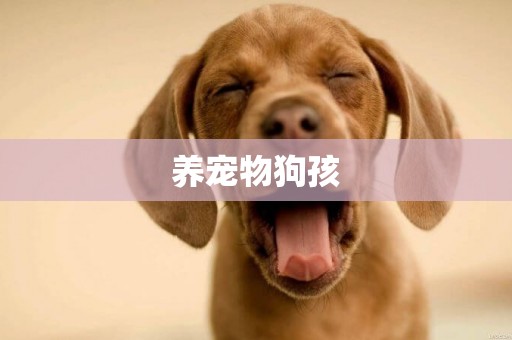 養寵物狗孩