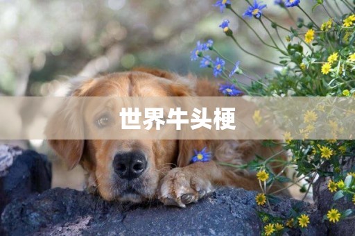世界牛頭梗