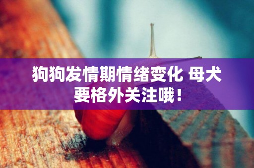 狗狗發情期情緒變化 母犬要格外關注哦！