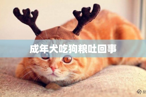 成年犬吃狗糧吐回事