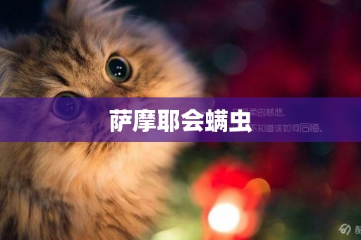 薩摩耶會螨蟲