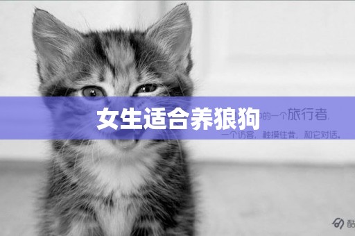 女生適合養狼狗