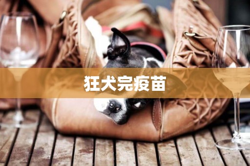 狂犬完疫苗