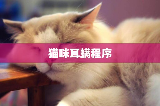 貓咪耳螨程序