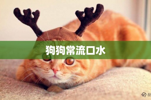 狗狗常流口水