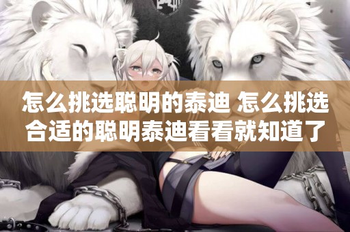 怎么挑選聰明的泰迪 怎么挑選合適的聰明泰迪看看就知道了