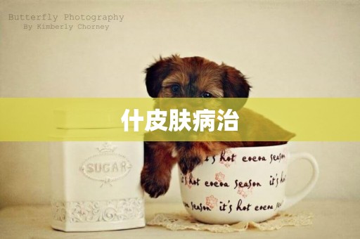 什皮膚病治