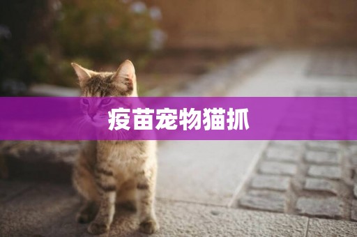 疫苗寵物貓抓