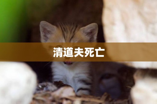 清道夫死亡