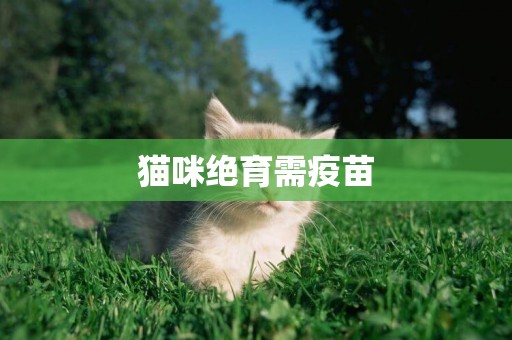 貓咪絕育需疫苗