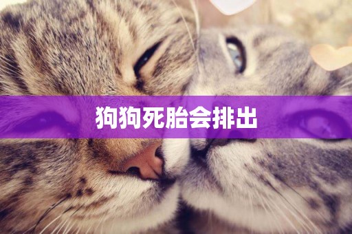 狗狗死胎會排出