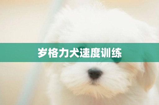 歲格力犬速度訓練