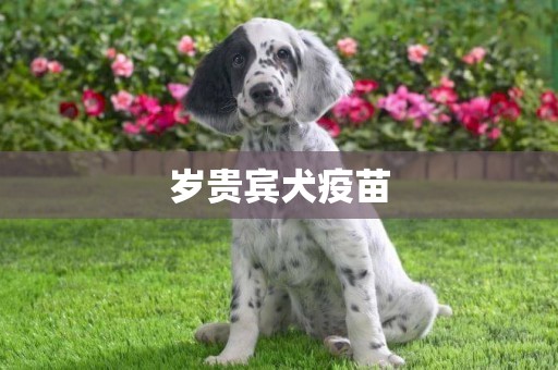 歲貴賓犬疫苗