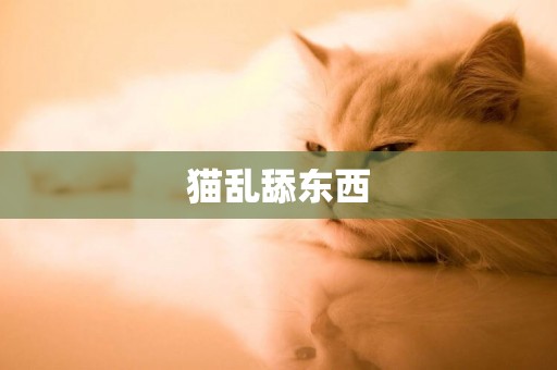 貓亂舔東西