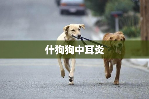 什狗狗中耳炎