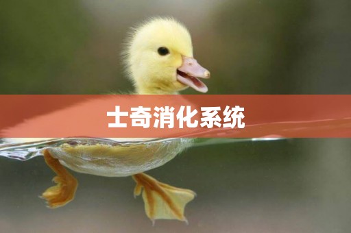 士奇消化系統