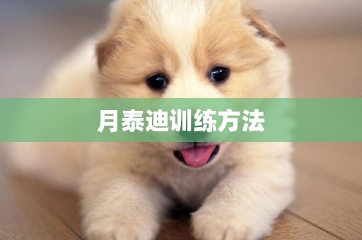 月泰迪訓練方法