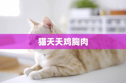 貓天天雞胸肉