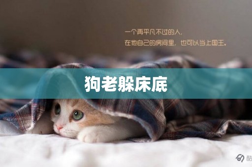 狗老躲床底