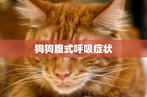 狗狗腹式呼吸癥狀