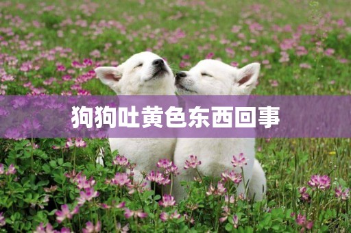 狗狗吐黃色東西回事