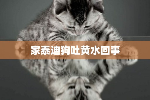 家泰迪狗吐黃水回事