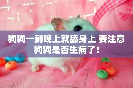 狗狗一到晚上就舔身上 要注意狗狗是否生病了！