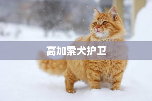 高加索犬護衛