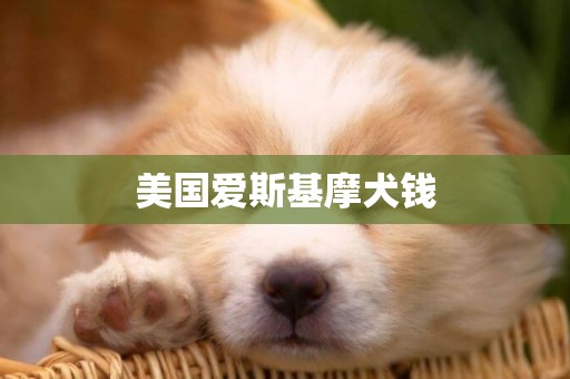 美國愛斯基摩犬錢
