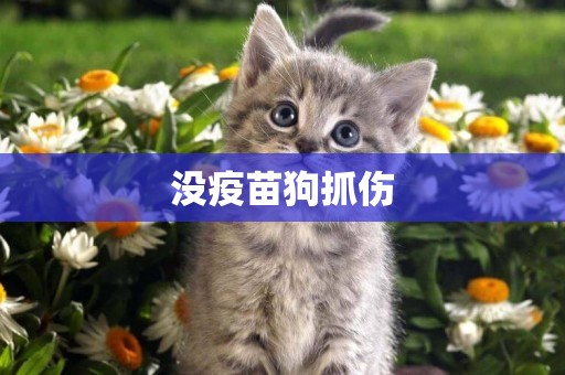 沒疫苗狗抓傷