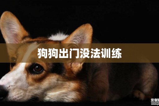 狗狗出門沒法訓練