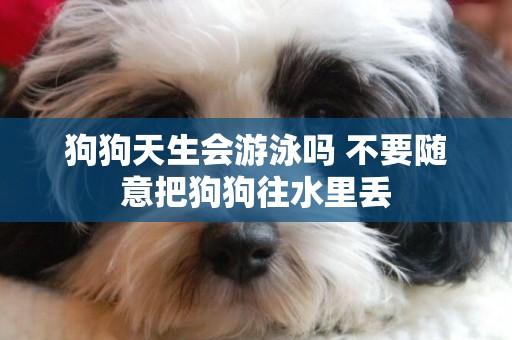 狗狗天生會游泳嗎 不要隨意把狗狗往水里丟